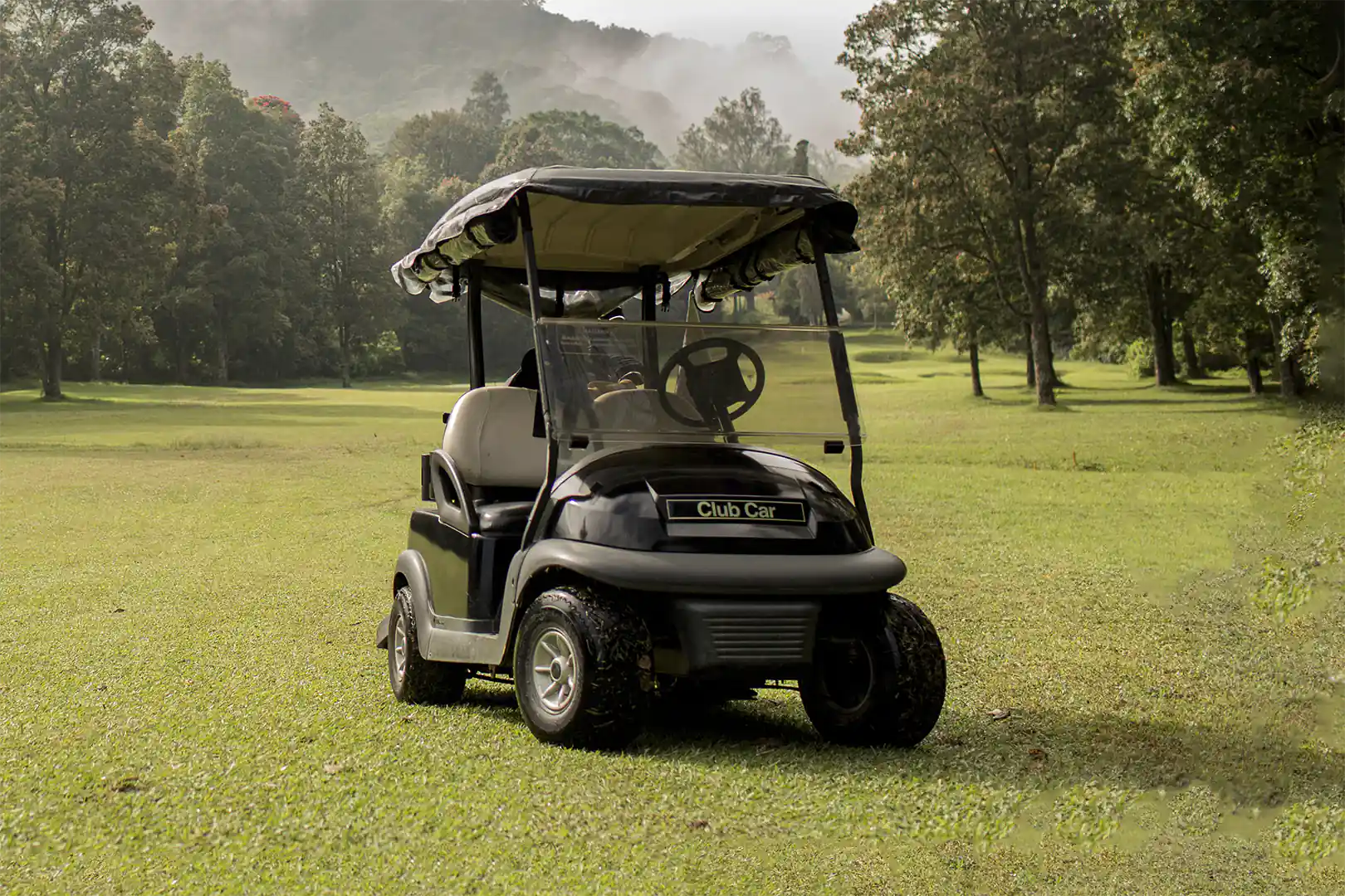 golf-cart-48v
